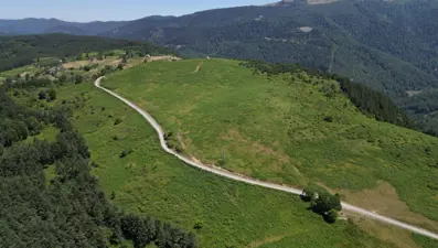 Galatasaray'ın kamp tesisi için Düzce'de iki alan belirlendi