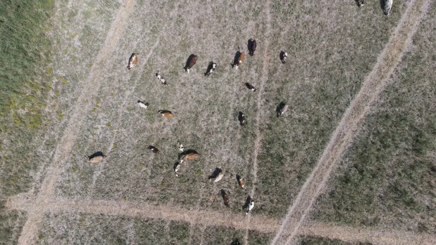 "VAHŞİ SULAMAYA SON VERİLMELİ" 8