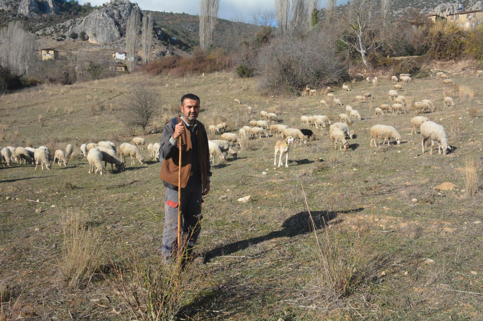 Corona virüsten kaçtı, 9 aydır köyde yaşıyor