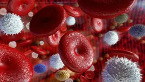 Corona virüse beslenme kalkanı Corona virüse beslenme kalkanı