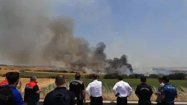 Edirne'de tarım arazilerine sıçrayan yangın kontrol altında