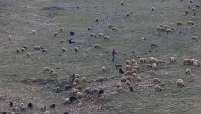 Mardin'de son 20 yılın en kurak dönemi yaşanıyor
