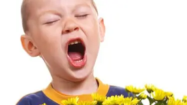 Polen bombardımanına dikkat