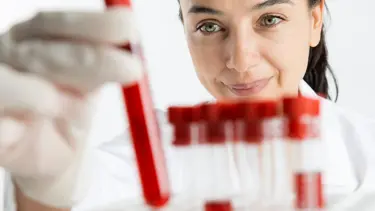 Yerli plazma 15 milyar lira katkı sağlayacak