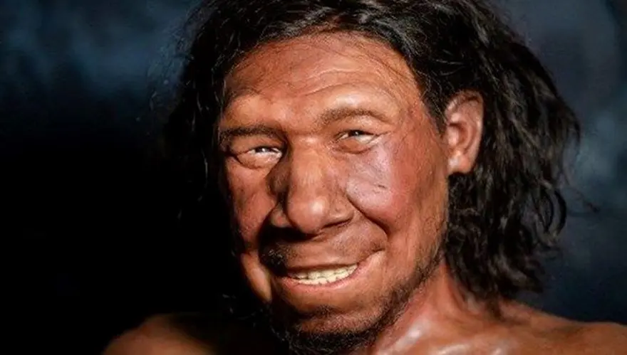 Neandertaller nasıl yok oldu? Kan grupları etkili olmuş olabilir mi? 5