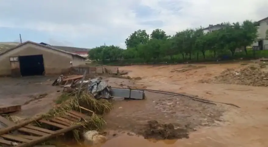 Elazığ'ı sağanak ve dolu vurdu: 200 küçükbaş hayvan telef oldu 3