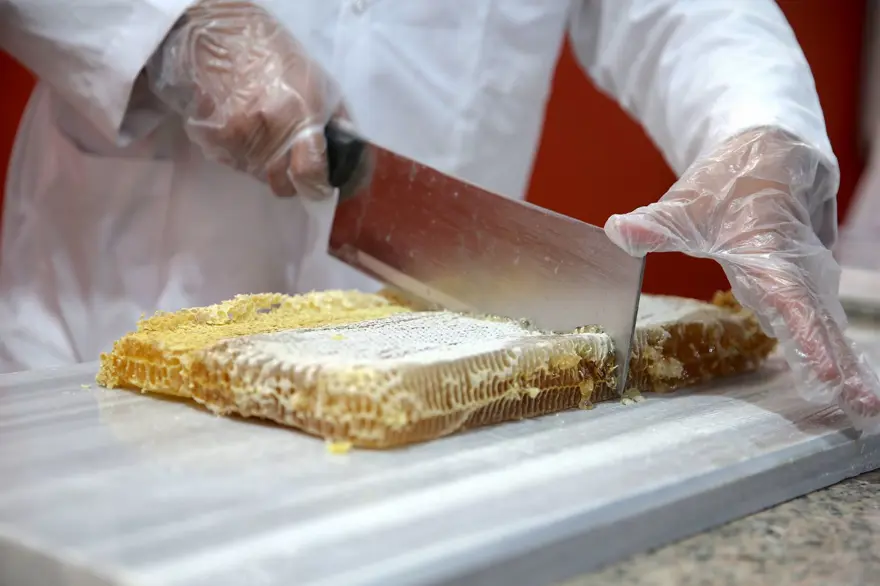 Devlet desteğiyle tesis kurdu: 20 kişiye iş imkanı sağladı 6