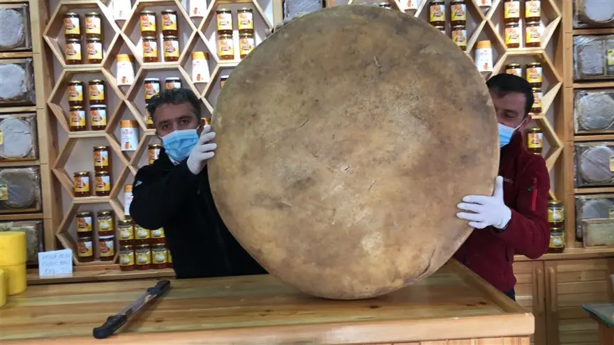 100 kiloluk dev gravyer peyniri 