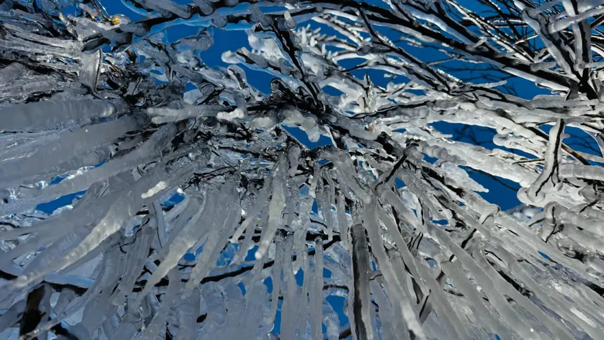 Şırnak'ta hava sıcaklığı eksi 10 dereceye düştü: Ağaçlarda buz sarkıtları oluştu 4