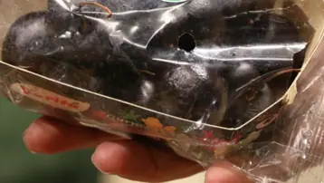 3 tanesi 300 TL, kilosu 5 bin 500 TL. Gece 3'te bile gelip alıyorlar