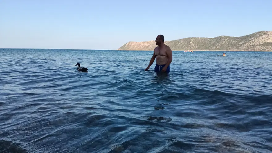 7 yıldır yanında ayırmıyor. En sevdiği şey yüzmek, yürüyüş de yapıyor 3
