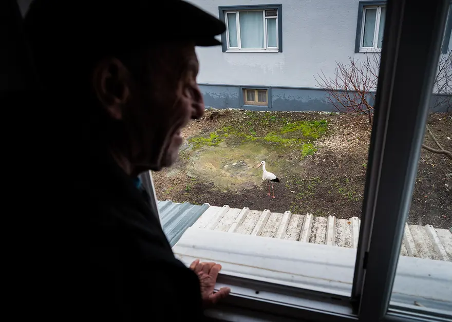 Türkiye'nin merakla beklediği Yaren Leylek geldi. Adem Amca ile Yaren'in buluşması 15. yılda da gerçekleşti 2