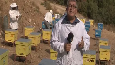 Arıcıların bal mesaisi (Yıllık 100 bin ton üretimle Türkiye dünyada ikinci sırada)