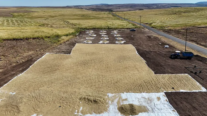 6 milyon lira maliyeti var: Hasadı 2 hafta sürecek 3