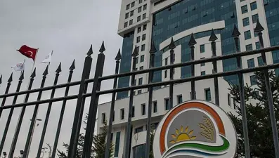 İlaç etkin maddesi üretmek isteyen kenevir yetiştiricisine TMO'ya başvurma imkanı