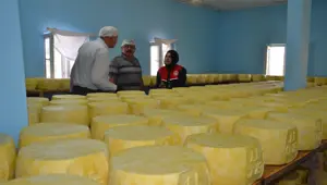 Girişimci 5 kardeş tesis kurdu şimdi ülkenin dört bir yanına pazarlanıyor