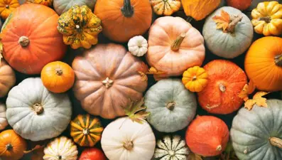 Bal kabağı faydaları nelerdir? Bal kabağı hangi hastalıklara ve neye iyi gelir, nasıl tüketilir?