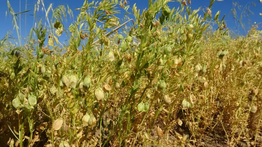 Türkiye'de ilk sırada yer alıyor! Aylık 45 bin liraya çalışacak işçi bulamıyorlar 1