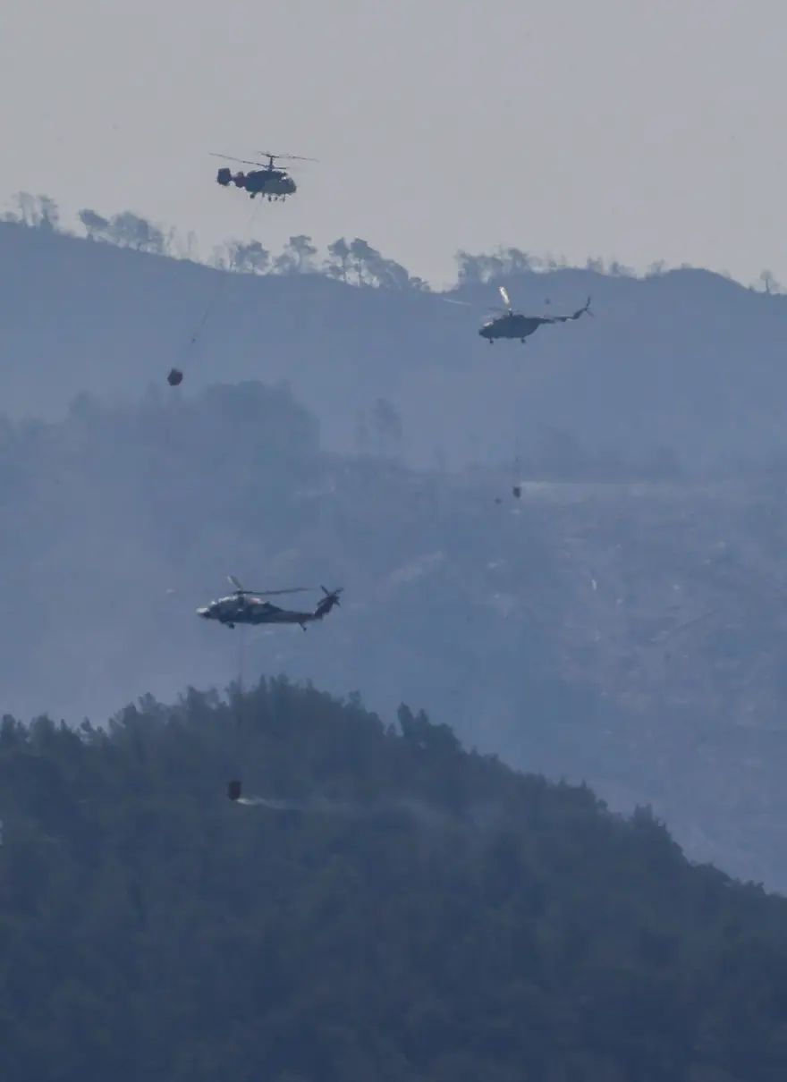 Cumhurbaşkanı Erdoğan: Marmaris'teki orman yangını büyük oranda kontrol altında 90