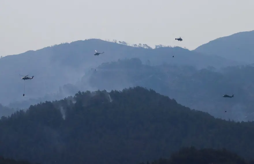 Cumhurbaşkanı Erdoğan: Marmaris'teki orman yangını büyük oranda kontrol altında 82