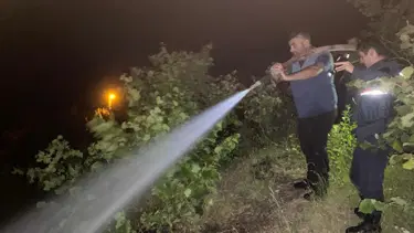 Bartın'da rüzgarın kopardığı elektrik telleri ormanda yangın çıkardı
