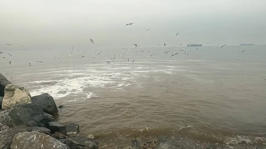 Beylikdüzü'nde kanalizasyon suyu denize aktı 