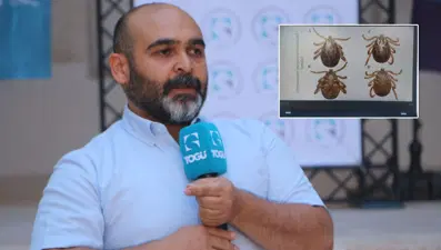 Uzmanı anlattı: Kene görürseniz bunları yapmayın!