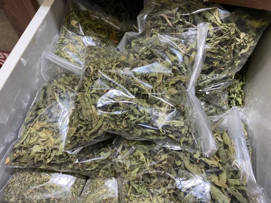 Stresi azalttığı söyleniyor: Yoğun talep var 2