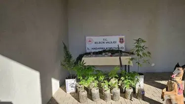 Bilecik'te yasadışı uyuşturucu operasyonu