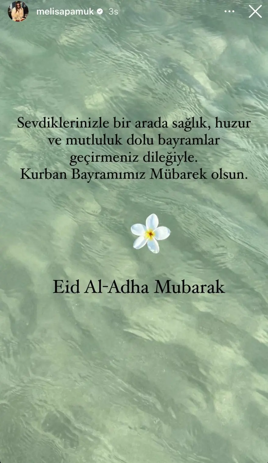 Ünlülerden Kurban Bayramı mesajları 8