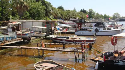 İzmit Körfezi kahverengiye büründü