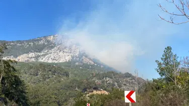 Antalya'da orman yangını