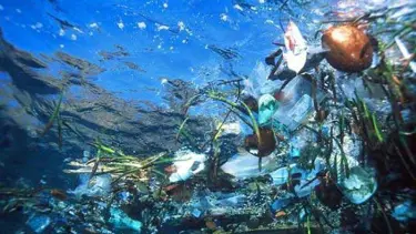 Denizlerde kirlilikle mücadele