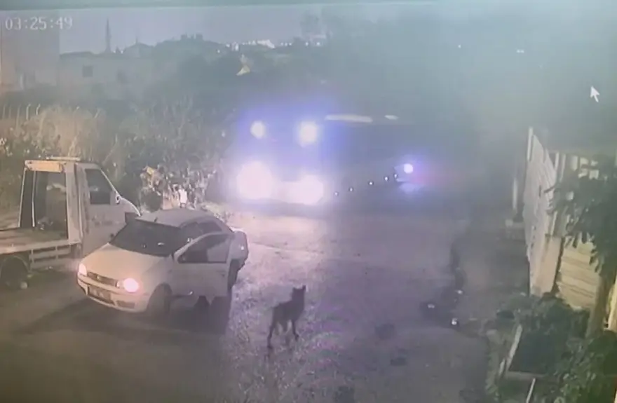 İETT otobüsünü çalıp satmaya kalkıştılar: Takip sistemiyle yakalandılar! 