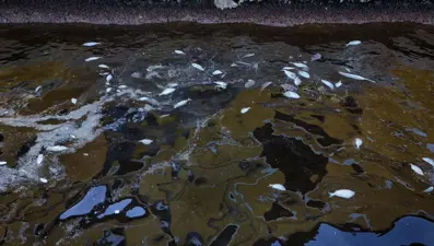 İzmir Körfezi'nde oksijen artırma çalışması