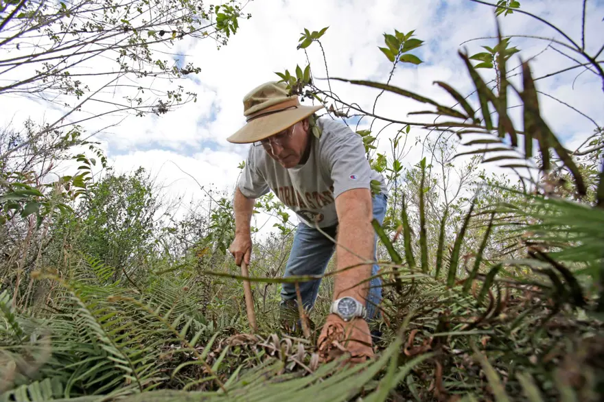 EKOSİSTEM İÇİN YIKICI ETKİLERE SAHİPLER 3