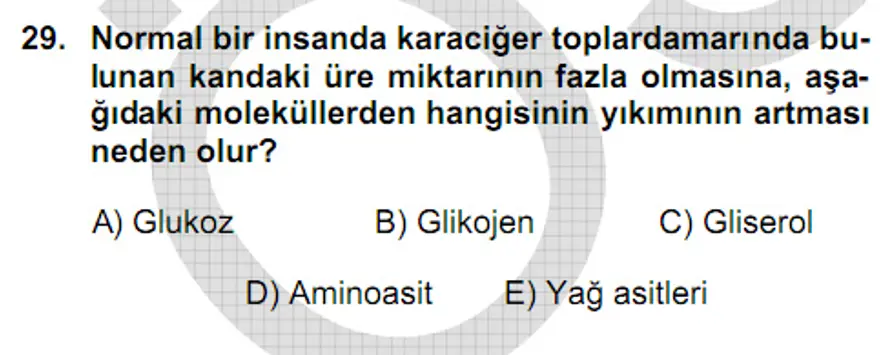 YGS Fen Bilimleri Soruları ve Yanıtları 28
