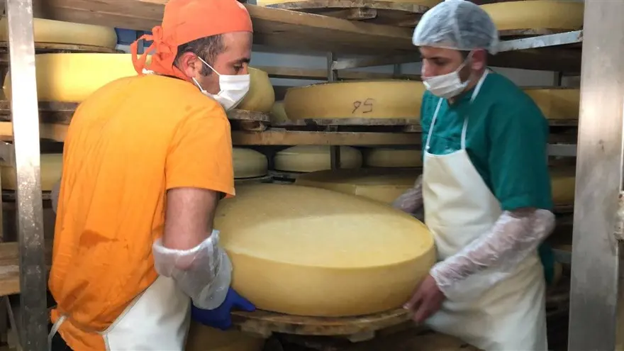 Kars'ta dünyaca ünlü gravyer peynirinin üretimine başlandı 27