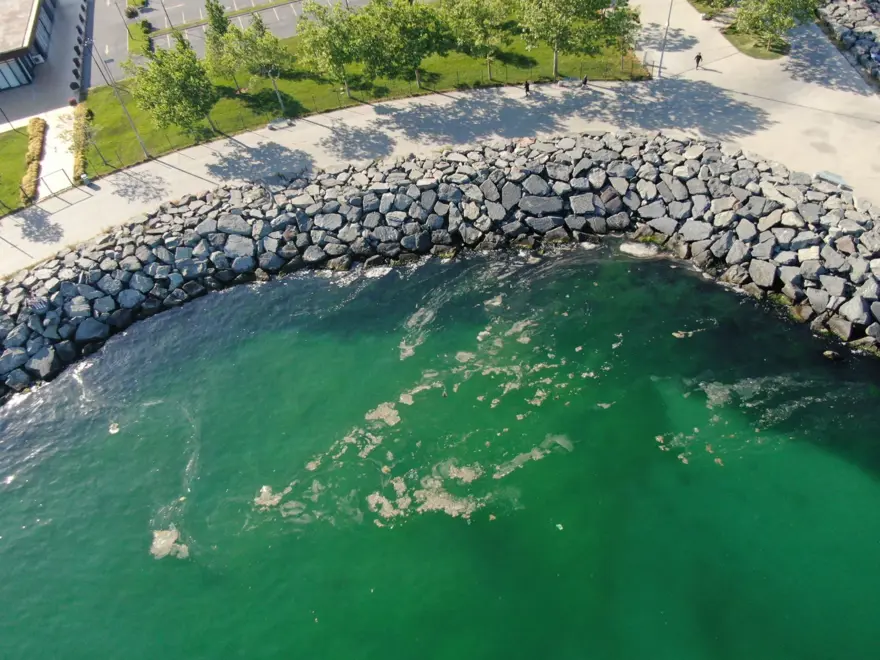 İstanbul'da müsilaj kabusu geri mi döndü? "Görür görmez kaçın, denize girmeyin" 5