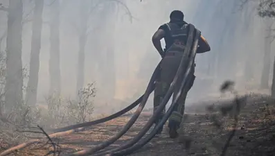 Orman yangınlarında büyük risk: "Yüzde 90'ı insan kaynaklı"