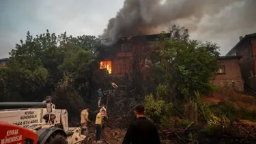 Orman yangınlarının bilançosu: 132 yapı küle döndü