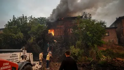 Orman yangınlarının bilançosu: 132 yapı küle döndü