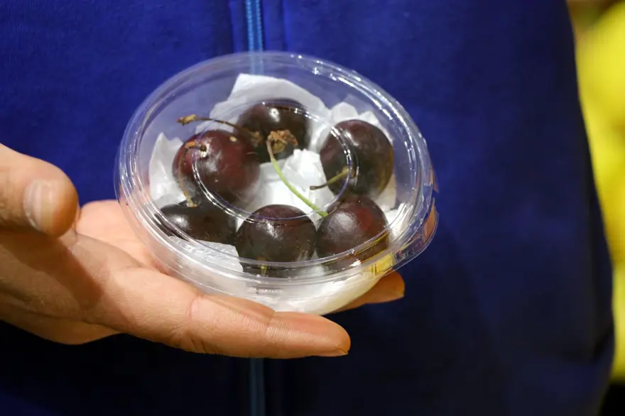 Kilosu 3 bin tanesi 53 lira | Yaz meyvesi kışın el yakıyor 6