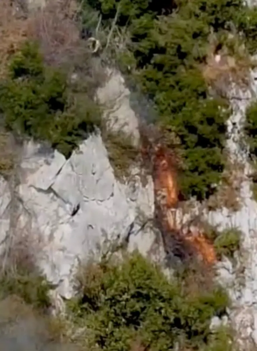 Küre Dağları Milli Parkı'ndaki yangın | Orman işçileri, alevlerden son anda kurtuldu 4