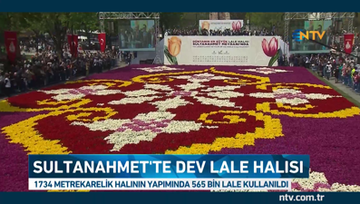 Dünyanın en büyük canlı lale halısı İstanbul'da