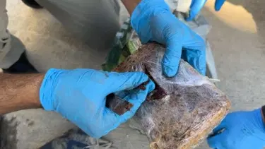 Üstünü pul biberle kaplamış: Yolcu otobüsünde 7 kilo eroin ele geçirildi