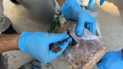 Üstünü pul biberle kaplamış: Yolcu otobüsünde 7 kilo eroin ele geçirildi