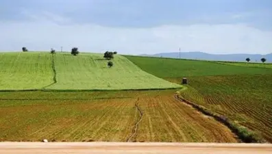 Eylülde başlıyor: Ekilmeyen tarla kiralanacak