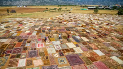 Binlerce halı, halı tarlasında geri dönüştürülüyor