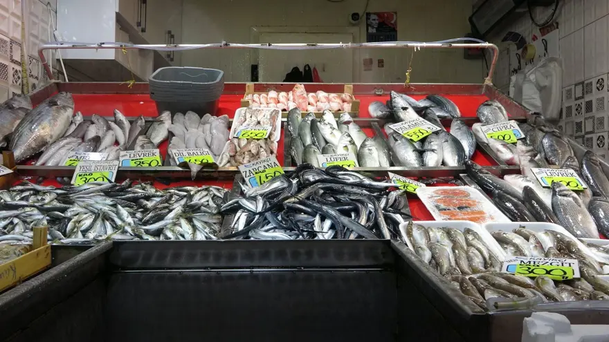 Balıkçılar bollukla karşılaştı: "Daha da iyi olacak" 3